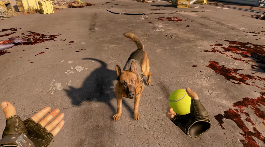 Arizona Sunshine 2 Buddy the dog playing fetch with a tennis ball